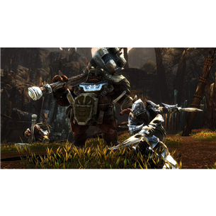 Xbox One mäng Kingdoms of Amalur: Re-Reckoning
