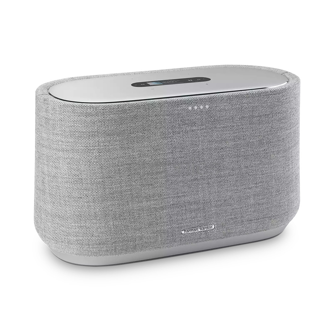 Harman Kardon Citation 300, серый - Беспроводная домашняя колонка