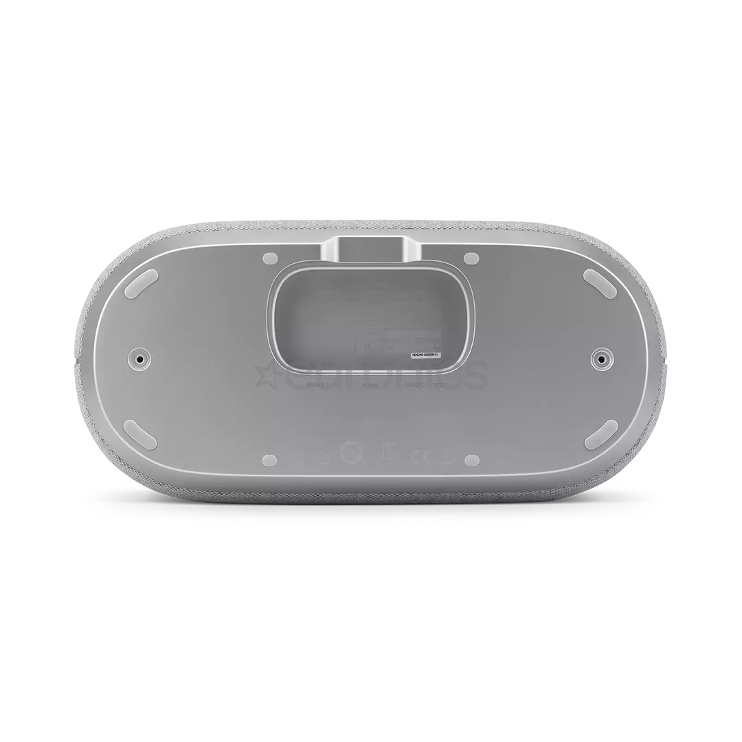Harman Kardon Citation 300, серый - Беспроводная домашняя колонка