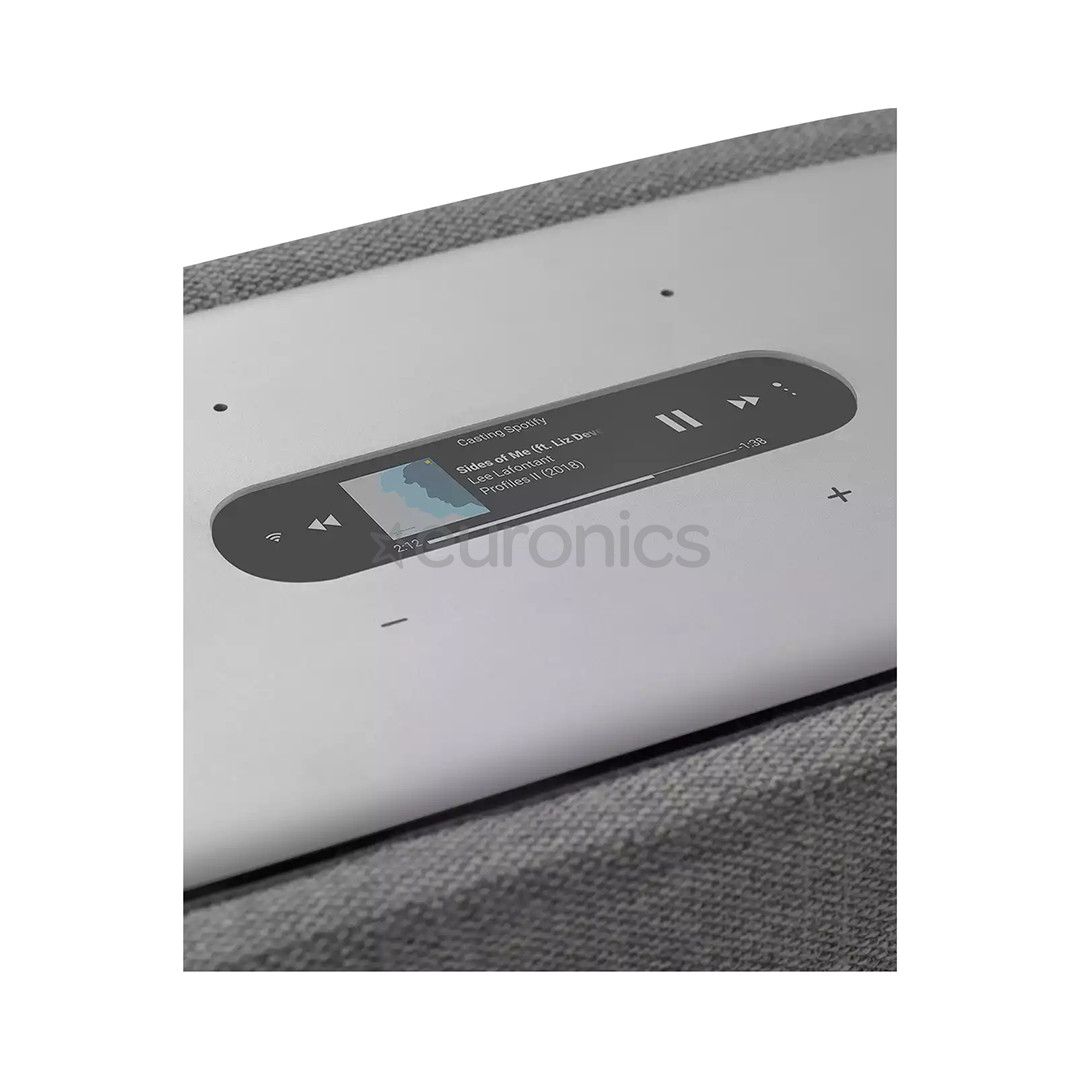 Harman Kardon Citation 300, серый - Беспроводная домашняя колонка