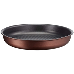 Tefal Ingenio Resource, 22 cm - Frypan