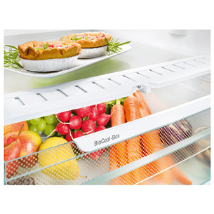 Холодильник Liebherr (201 см)