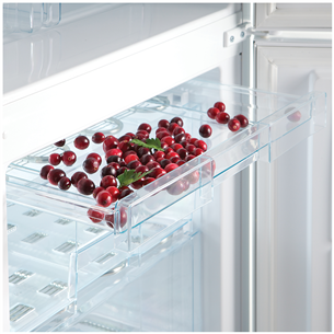 Refrigerator Snaige (194,5 cm)