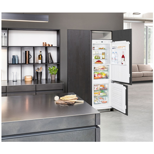 Built-in refrigerator Liebherr (178 cm)