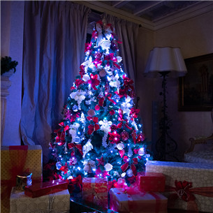 Twinkly 100 RGB LED String (Gen II), IP44, 8 m, must - Nutikad jõulutuled