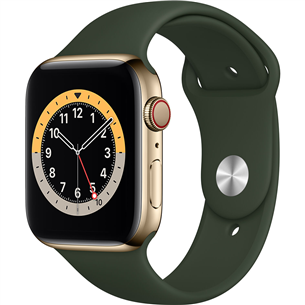 Apple Watch Series 6 Steel (44 mm) GPS + LTE