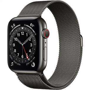 Смарт-часы Apple Watch Series 6 Steel (44 мм) GPS + LTE