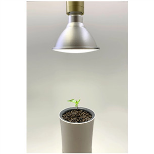 Kasvulamp Botanium 15 W