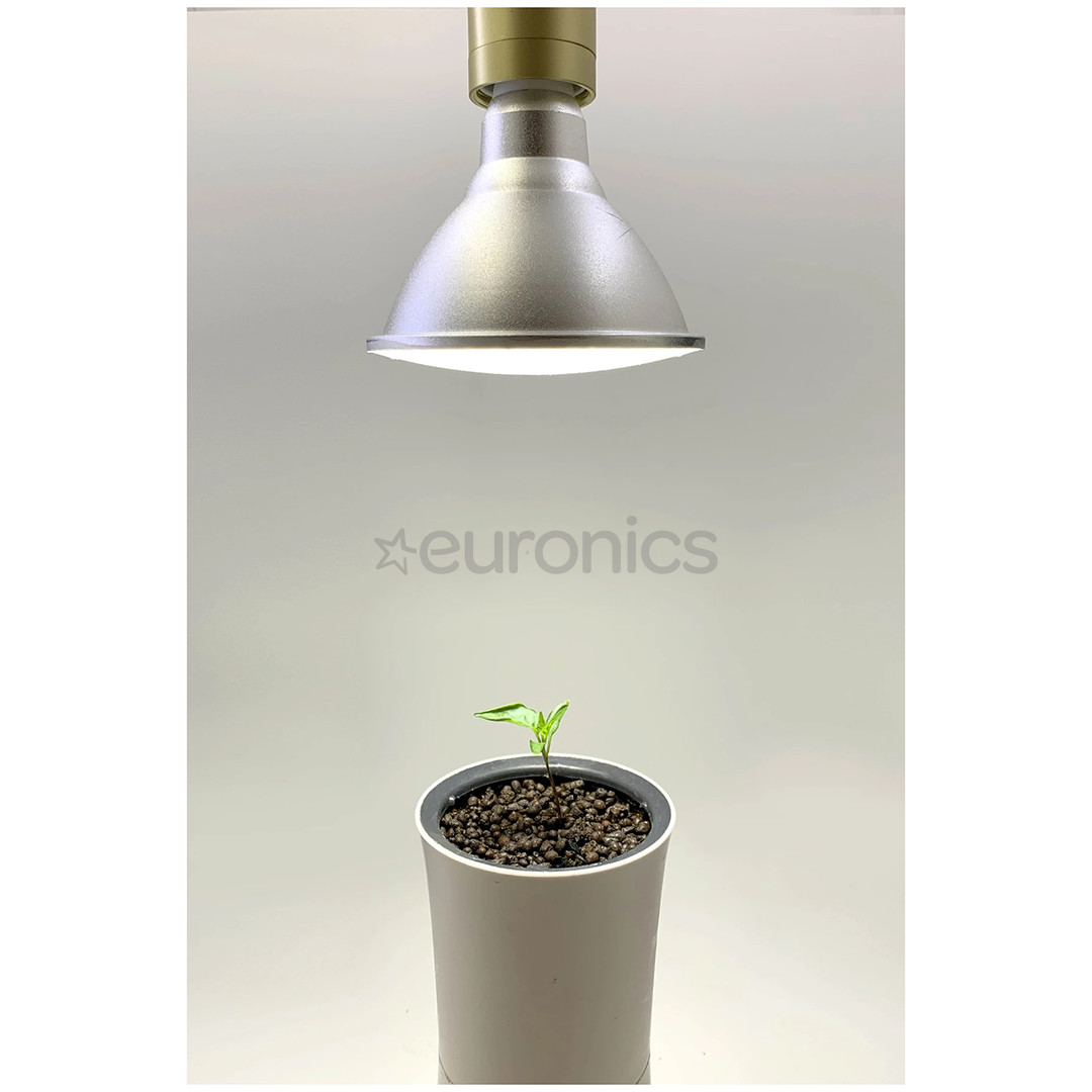 Kasvulamp Botanium 15 W