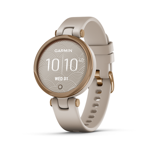 Smartwatch Garmin Lily 010-02384-11