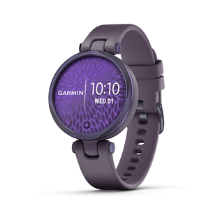 Smartwatch Garmin Lily