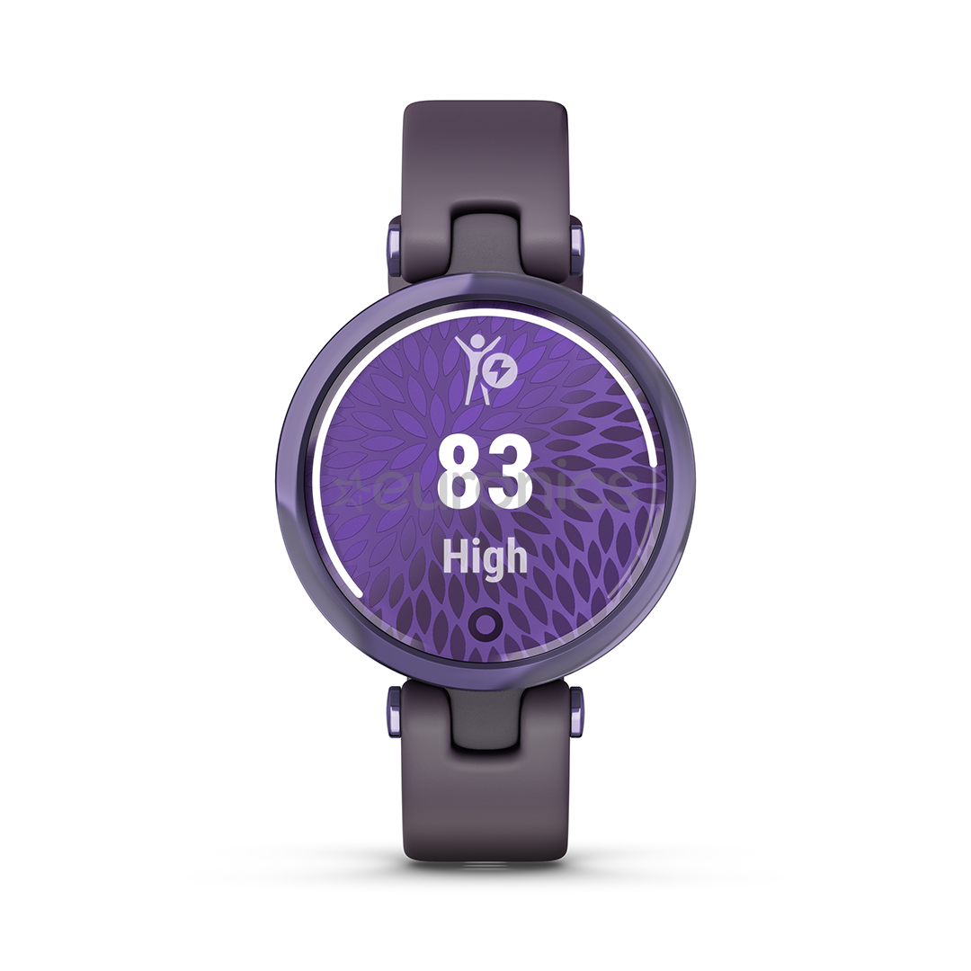 Nutikell Garmin Lily