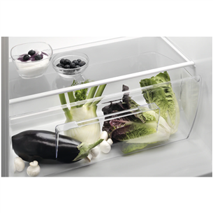 Electrolux, 127 L, height 82 cm - Built-in Cooler