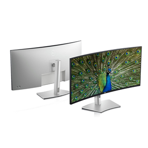 Dell UltraSharp U4021QW, 40'', WUHD, LED IPS, curved, gray - Monitor