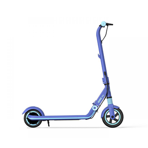 Electric scooter Segway Ninebot ZING E8