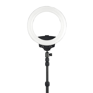 Кольцевой светильник WISTREAM Halo 200 Ring Light 4897076695201