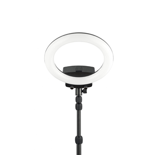 Кольцевой светильник WISTREAM Halo 200 Ring Light