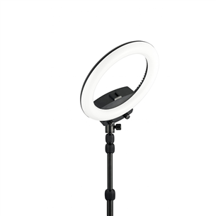 Кольцевой светильник WISTREAM Halo 200 Ring Light