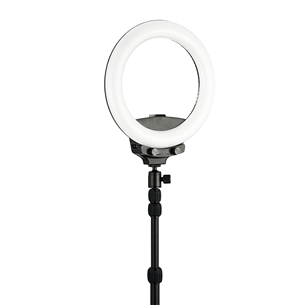 Tarvik WISTREAM Halo 200 Ring Light