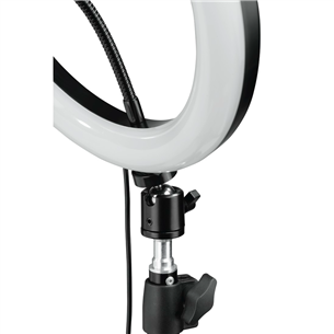 LED Ring light Hama Spotlight Steady 120, 12''