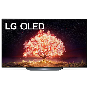 LG OLED 4K UHD, 55'', central stand, gray - TV