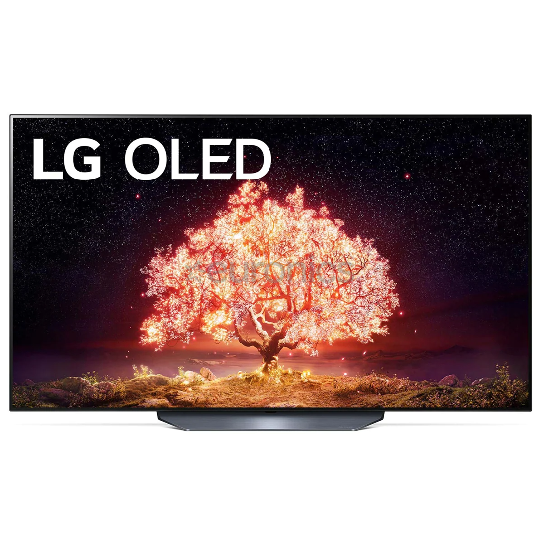 LG OLED 4K UHD, 55'', central stand, gray - TV