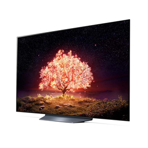 LG OLED 4K UHD, 55'', central stand, gray - TV