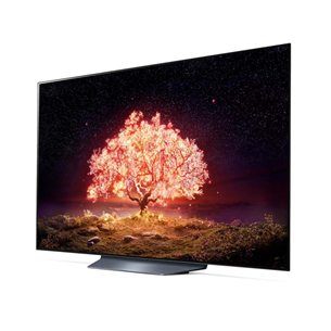 LG OLED 4K UHD, 55'', jalg keskel, hall - Teler