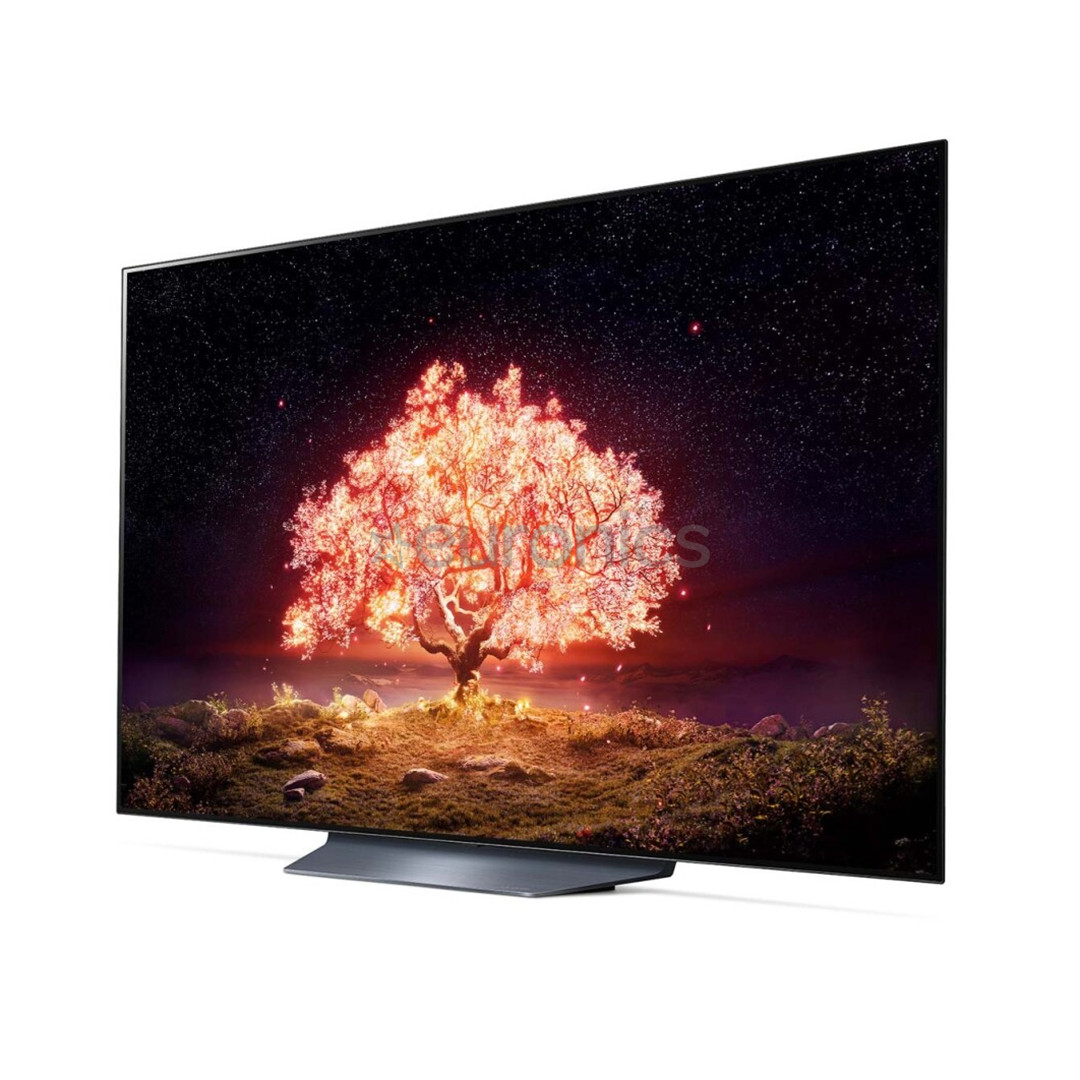 LG OLED 4K UHD, 55'', central stand, gray - TV