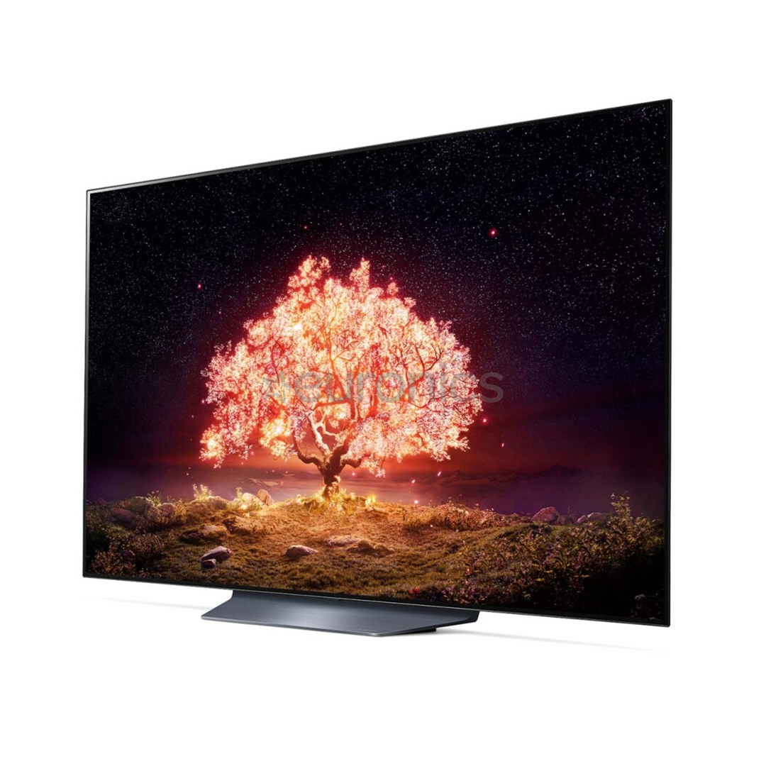 LG OLED 4K UHD, 55'', central stand, gray - TV
