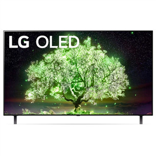LG OLED 4K UHD, 55'', feet stand, gray - TV