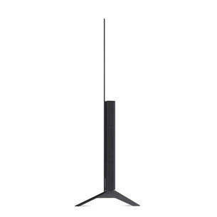LG OLED 4K UHD, 55'', feet stand, gray - TV