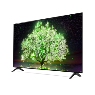 LG OLED 4K UHD, 65'', feet stand, gray - TV