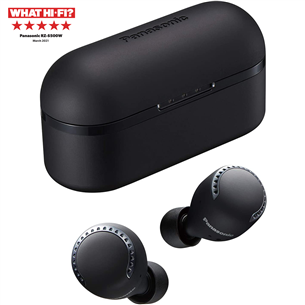 Panasonic RZ-S500WE-K, black - True-wireless Earbuds