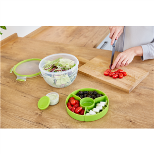 Salatikarp Tefal Masterseal & Go 2,6 L