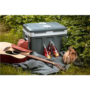 Portable cooler Camry (45 L)