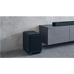 Sony SA-SW5, 300 W, black - Subwoofer