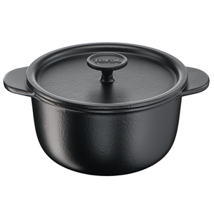 Tefal Tradition, diameter 20 cm, black - Stewpot