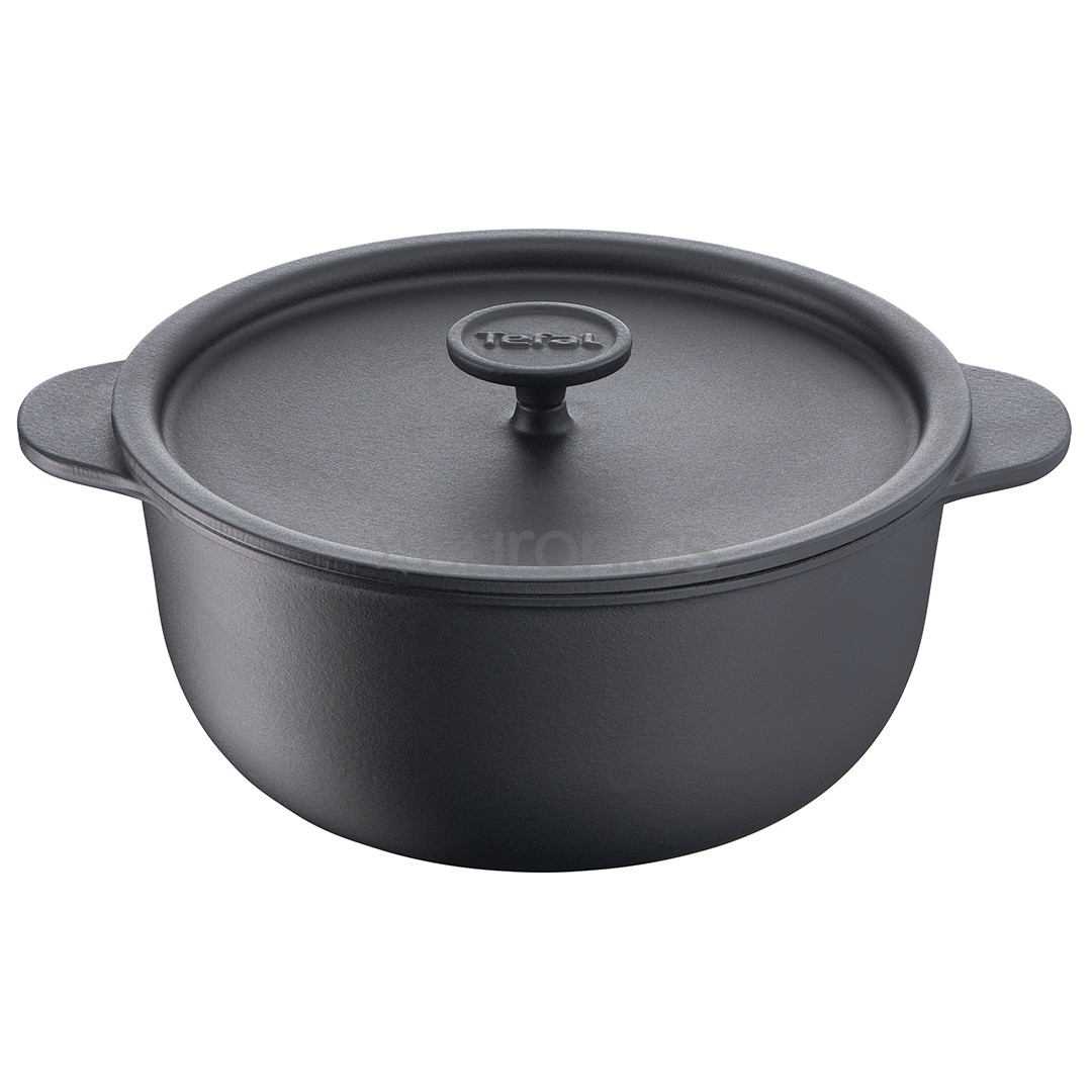 Tefal Tradition, diameter 24 cm, black - Stewpot