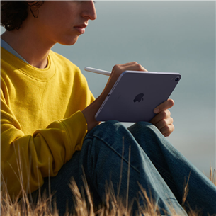 Apple iPad mini (2021), 8,3", 64 GB, WiFi, kosmosehall - Tahvelarvuti