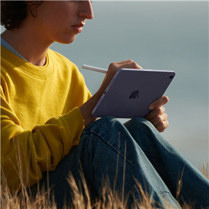 Apple iPad mini (2021), 8.3", 64 GB, WiFi + LTE, purple - Tablet