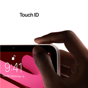 Apple iPad mini (2021), 8,3", 256 GB, WiFi + LTE, roosa - Tahvelarvuti