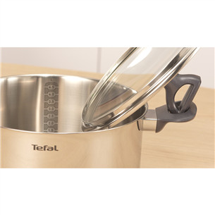 Kaanega pott Tefal Daily Cook 20 cm