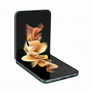Samsung Galaxy Flip3 5G, 128 ГБ, зеленый - Смартфон SM-F711BZGBEUE