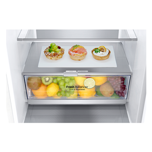 LG, NatureFRESH, 384 L, height 203 cm, white - Refrigerator