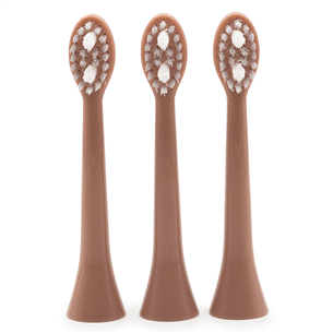 Spotlight Sonic, 3 pcs., pink - Toothbrush heads