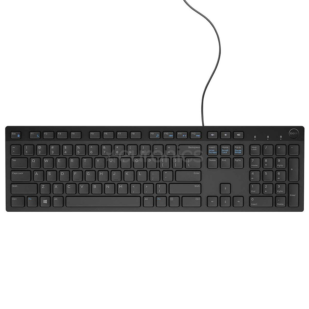 Dell KB216 Standard, EST, black - Keyboard