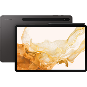 Samsung Galaxy Tab S8+, 12.4", 128 GB, WiFi, gray - Tablet PC SM-X800NZAAEUE