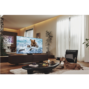 Samsung QN700B Neo QLED 8K Smart TV, 65'', jalg keskel, hõbe/must - Teler