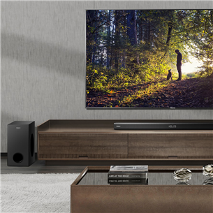 Hisense HS218, 2.1, Roku TV, black - Soundbar